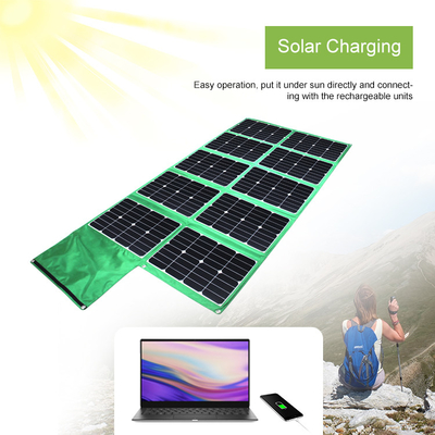 Alimentation d'énergie actionnée solaire de panneau de chargeur de batterie d'OEM 300w