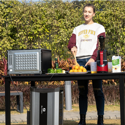 Puissance élevée Mini Generator actionné solaire rechargeable 4000W avec la sortie à C.A.